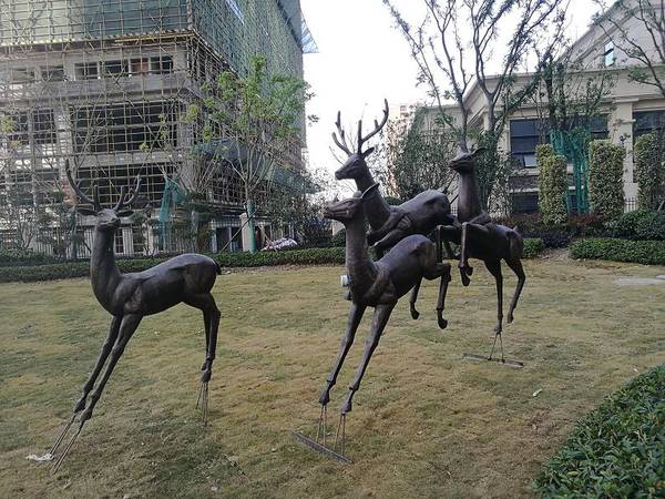 ���Ǻ���(xi��ng)Ŀ